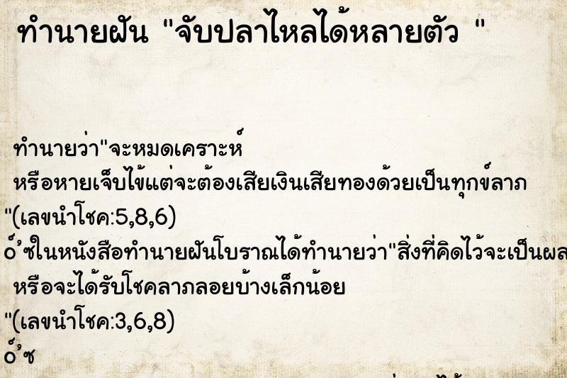ทำนายฝันทำนายฝันจับปลาไหลได้หลายตัว